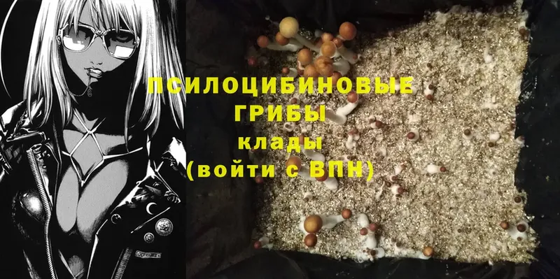 Галлюциногенные грибы Cubensis  Бугульма 